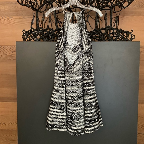 EUC PARKER Orion Print Mesh Silk Stripe Fit & Flare Dress Size S - Picture 9 of 9